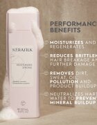 KERASILK Essentials Repairing Shampoo čistilni in hranilni šampon za suhe in poškodovane lase 250 ml