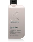 Kevin Murphy Blow.Dry Wash hranilni šampon za lomljive in izčrpane lase 250 ml