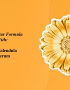 Kiehl's Calendula Serum-Infused Water Cream lahka vlažilna dnevna krema za vse tipe kože vključno z občutljivo kožo 50 ml