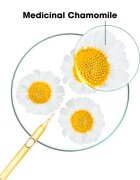 Klorane Chamomile šampon za blond lase 400 ml