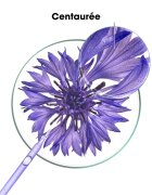 Klorane Cornflower Organic šampon za nevtralizacijo rumenih odtenkov 200 ml