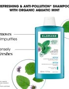 Klorane Organic Mint čistilni razstrupljevalni šampon za normalne lase 200 ml