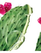 Klorane Prickly Pear vlažilni balzam 200 ml