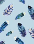 Kolorky Day Feathers ekološke plenice za enkratno uporabo velikost L 8-13 Kg 19 kos