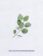 Korres Philosia toaletna voda uniseks 50 ml