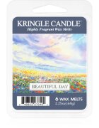 Kringle Candle Beautiful Day vosek za aroma lučko 64 g