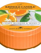Kringle Candle Citrus Blossom & Honey čajna sveča 42 g