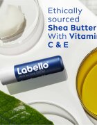 Labello Active Care balzam za ustnice za moške 4.8 g