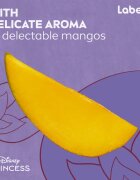 Labello Disney Princess Mango Shine vlažilni balzam za ustnice 4.8 g