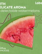 Labello Disney Princess Watermelon Shine vlažilni balzam za ustnice 4.8 g