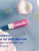 Labello Soft Rosé balzam za ustnice 4.8 g