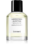 Laboratorio Olfattivo Cozumel parfumska voda za moške 100 ml