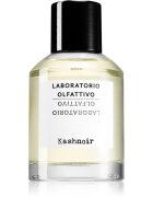 Laboratorio Olfattivo Kashnoir parfumska voda uniseks 100 ml