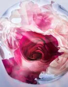 Lancôme La Vie Est Belle Rose Extraordinaire parfumska voda za ženske 100 ml
