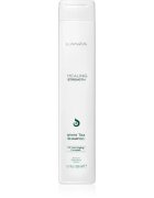 L'anza Healing Strength White Tea Shampoo šampon za poškodovane in krhke lase 300 ml