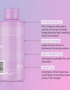 Lee Stafford Bleach Blondes Everyday Care šampon za blond lase 250 ml