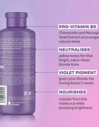 Lee Stafford Bleach Blondes Toning Conditioner balzam za toniranje za blond lase in lase s prameni 250 ml