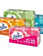 Linteo Paper Tissues Two-ply Paper 200 pcs per box papirnati robčki 200 kos