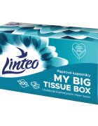 Linteo Paper Tissues Two-ply Paper 200 pcs per box papirnati robčki 200 kos