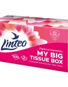 Linteo Paper Tissues Two-ply Paper 200 pcs per box papirnati robčki 200 kos
