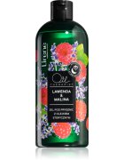 Lirene Shower Gel vlažilen gel za prhanje z eteričnimi olji 400 ml