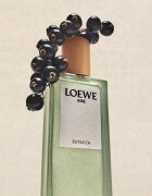 Loewe Aire Sutileza toaletna voda za ženske 50 ml