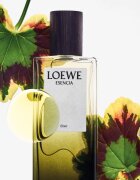 Loewe Esencia Elixir parfum za moške 50 ml