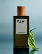 Loewe Esencia parfumska voda za moške 50 ml