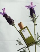 Loewe Miniature Set darilni set uniseks