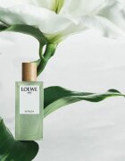 Loewe Miniature Set darilni set uniseks