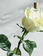Loewe Miniature Set darilni set uniseks