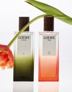 Loewe Solo Ella Elixir parfum za ženske 100 ml