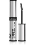 L’Oréal Paris Infaillible 24h Brow Lamination transparentni fiksacijski gel za obrvi odtenek Transparent 6 ml