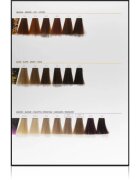 L’Oréal Professionnel Inoa ODS2 barva za lase odtenek 6 60 g