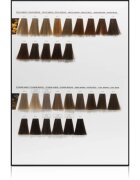 L’Oréal Professionnel Inoa ODS2 barva za lase odtenek 6 60 g