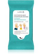 Luba Antibacterial Wet Wipes vlažni čistilni robčki za roke 15 kos