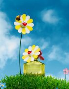 Marc Jacobs Daisy Murakami parfumska voda za ženske 50 ml