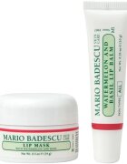 Mario Badescu Lip Care Duo darilni set za ustnice