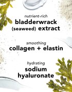 Mario Badescu Seaweed Night Cream nočna vlažilna krema z minerali 28 g