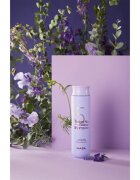 MASIL 5 Salon No Yellow vijoličen šampon za nevtralizacijo rumenih odtenkov 300 ml