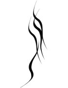 MAYBELLINE NEW YORK Tattoo Liner dolgo obstojno gel črtalo za oči s čopičem odtenek 950 Blackest Black 3 g