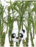 Melii Snack Container škatla za malico Panda 232 ml