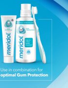 Meridol Gum Protection zobna pasta ki podpira regeneracijo razdraženih dlesni 2x75 ml
