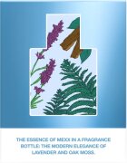 Mexx Man New Look toaletna voda za moške 30 ml