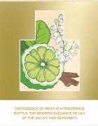Mexx Woman New parfumska voda za ženske 40 ml