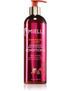 Mielle Pomegranate & Honey vlažilni balzam za lažje razčesavanje las 355 ml