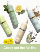 milk_shake® Scalp Care Normalizing Blend šampon za normalne in mastne lase brez sulfatov 300 ml