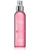 Millefiori Ambra & Rosa pršilo za dom 150 ml