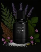 Miraculum Noir Majesty Figure parfumska voda za moške 50 ml