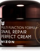 Mizon Multi Function Formula Snail krema za obraz s filtriranim polžjim izločkom 60% 50 ml
